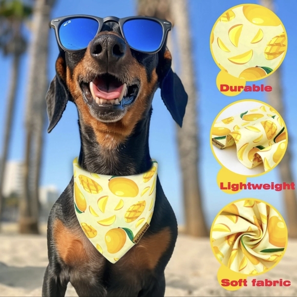 Raisingwell Pet Fruit Print Bandana Set-Yellow and Pink Reversible Size: XL - Picture 9 of 10